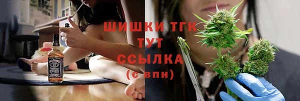 дурь Заводоуковск