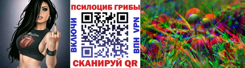 закладка  Спасск-Дальний  Галлюциногенные грибы MAGIC MUSHROOMS 