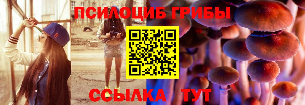 Псилоцибиновые грибы Magic Shrooms  Псилоцибиновые грибы MAGIC MUSHROOMS  Вход с VPN  Спасск-Дальний 